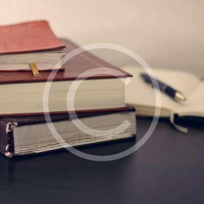 Reviews: New Books From Steven Millhauser